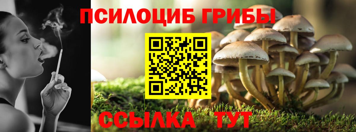 Галлюциногенные грибы GOLDEN TEACHER  Псилоцибиновые грибы Magic Shrooms  Вход с VPN  Кохма 