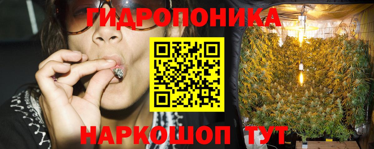 Кохма  Шишки марихуана Ganja  Шишки марихуана индика  Канабис MAZAR  Вход с VPN 